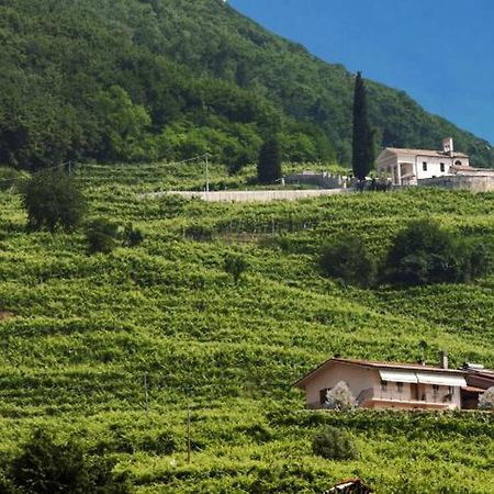 Casa Bortolin Acomodação com café da manhã Valdobbiadene Exterior foto