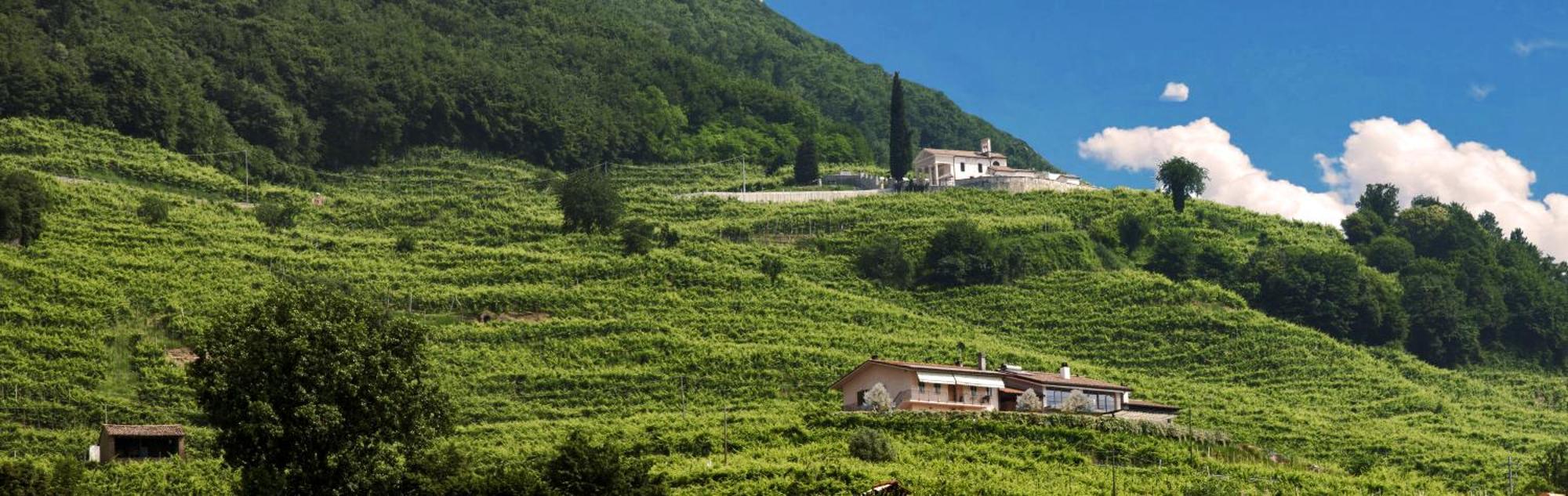 Casa Bortolin Acomodação com café da manhã Valdobbiadene Exterior foto